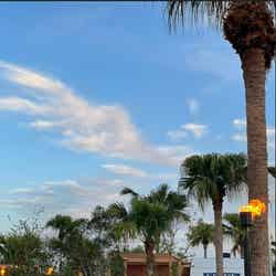 アワジ ラニカイ スクエア/提供画像