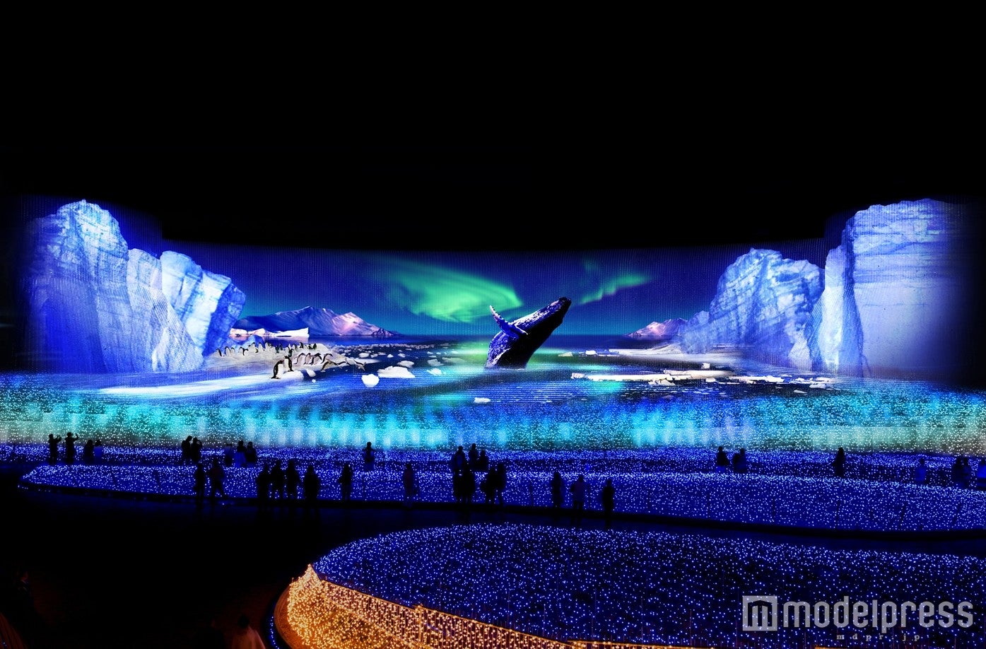 テーマ「大地」南極大陸／画像提供：長島観光開発
