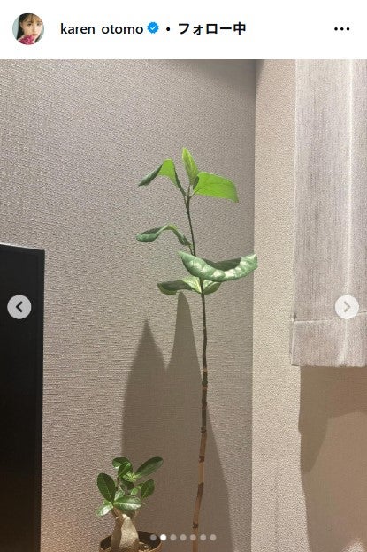 大友花恋Instagramより