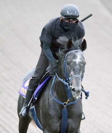 【天皇賞・秋】リアライズシリウス唯一の3歳馬が下克上だ！厩舎の先輩マスカレードボールに続け 手塚久師「今回は中身が全然違う」