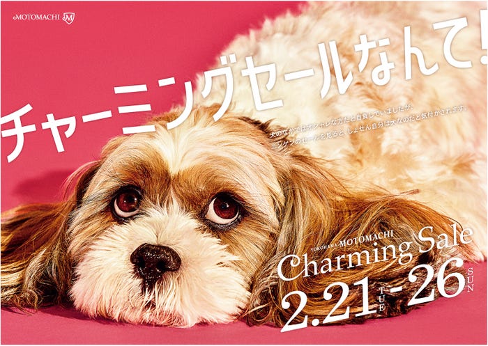 ふてくされる犬の表情が可愛すぎる 皮肉交じりのセリフにも注目 モデルプレス ふてくされる犬の表情が可愛すぎる 皮肉交じりのセリフにも注目 モデルプレス