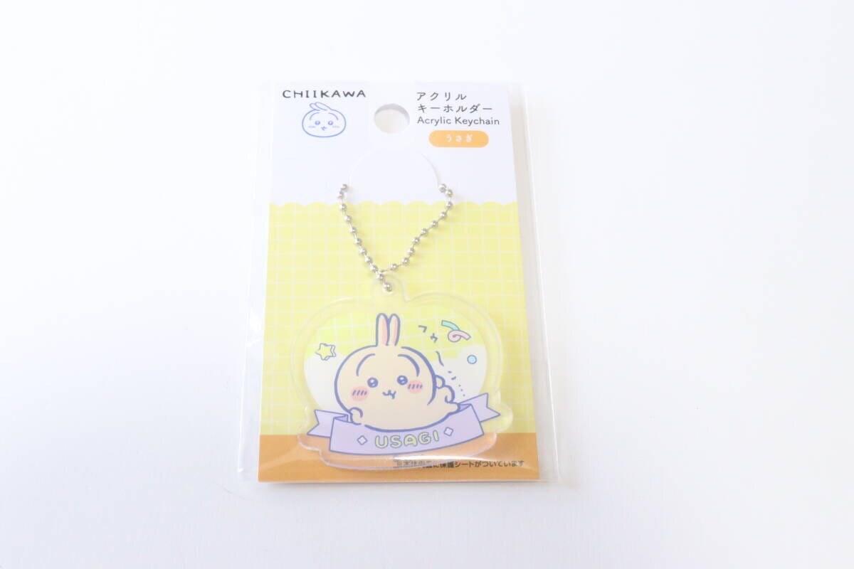 ダイソーのアクリルキーホルダー　うさぎのパッケージ