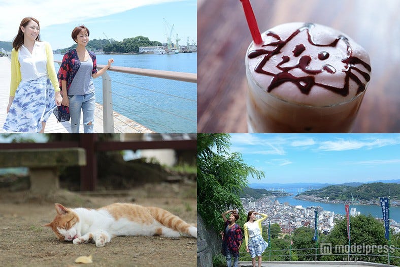 世界初キャットストリートビューが話題 “猫のまち”にハマる女子続出