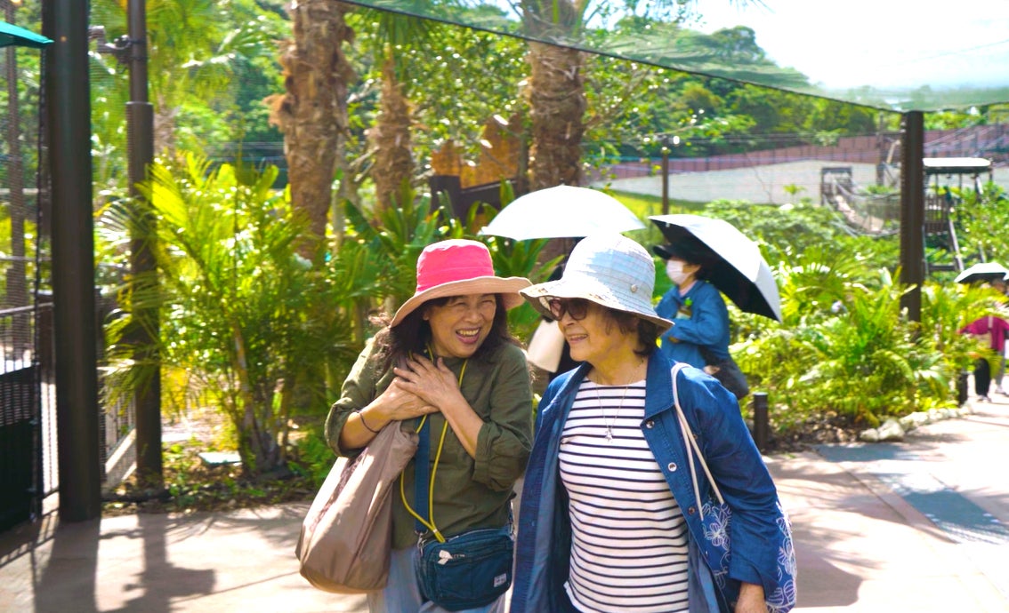 やんばるトルネード／提供画像