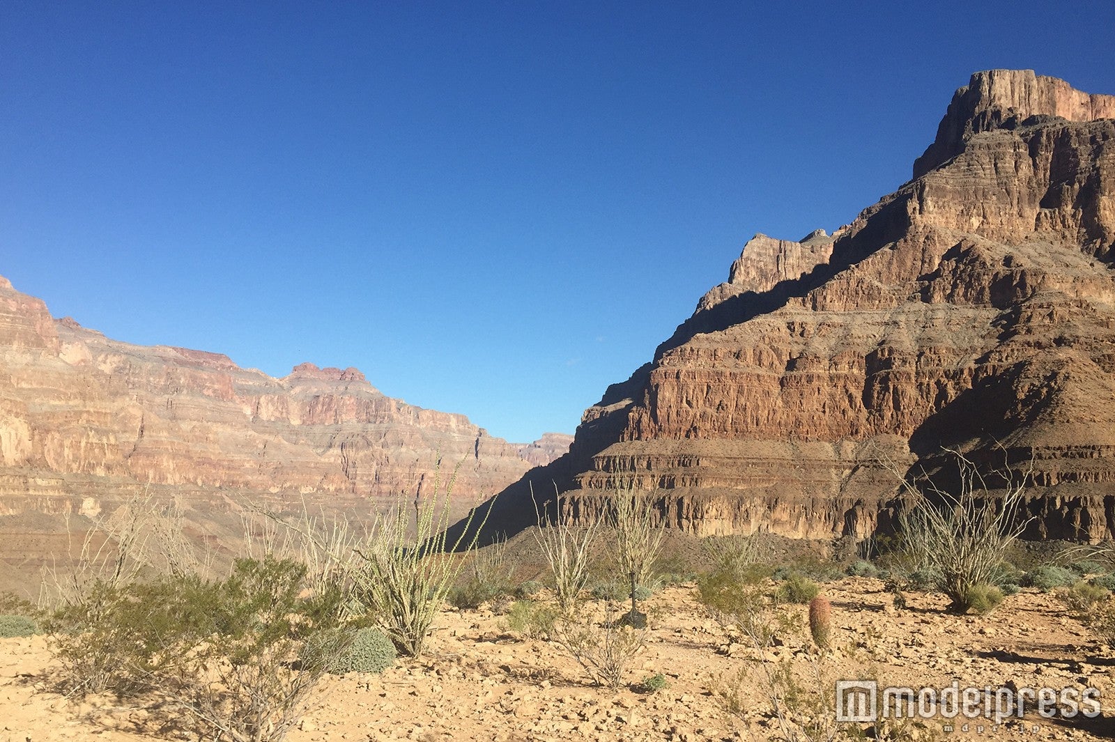 グランドキャニオン