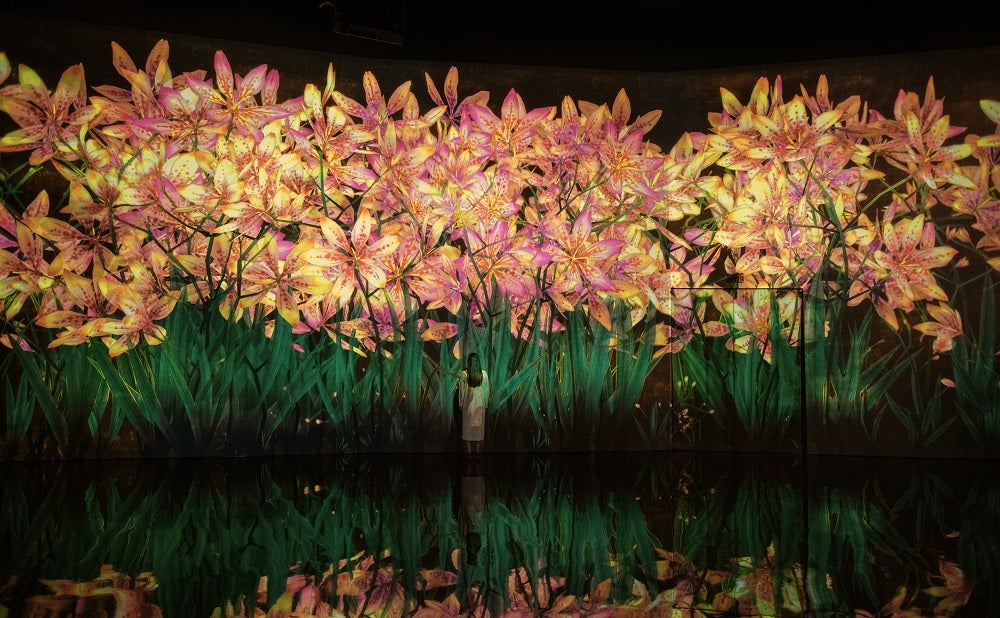 9月の花：ひおうぎ／画像提供：チームラボ