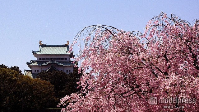 名城公園／photo by rumpleteaser