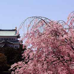 名城公園/photo by rumpleteaser