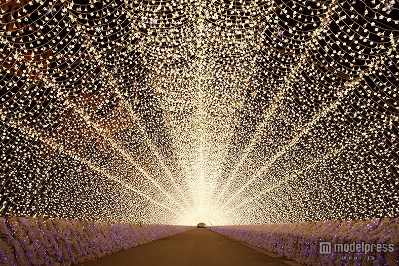 光のトンネル／画像提供：長島観光開発