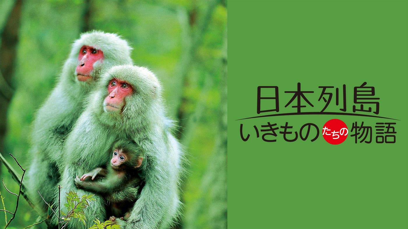 「日本列島 いきものたちの物語」(提供画像)