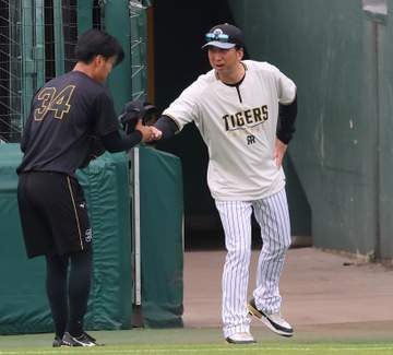 阪神・藤川監督 佐藤輝＆森下の第3戦出場は「総合的な判断」登録ギリギリまで状態見極め決断の意向