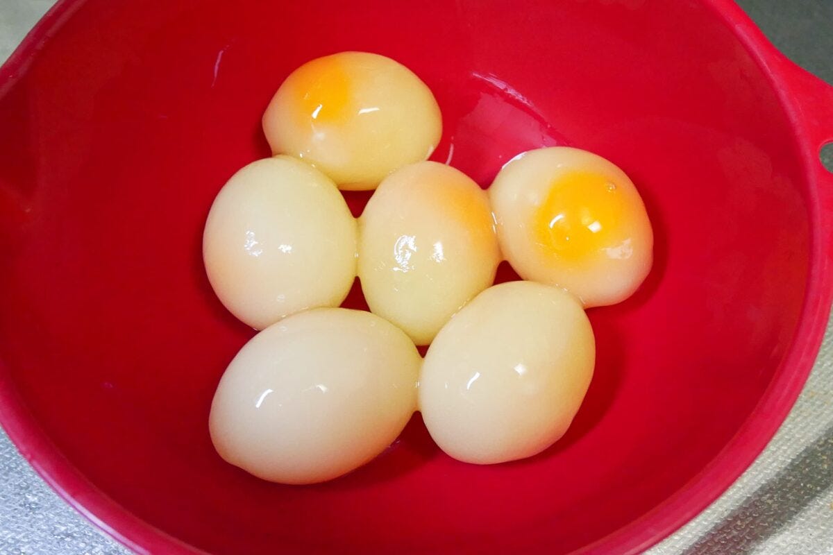 卵黄+肉そぼろ
