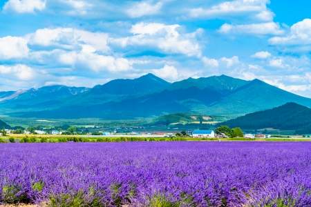 「北海道」