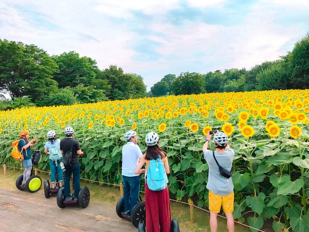 季節の花々が目を楽しませてくれる（提供画像）