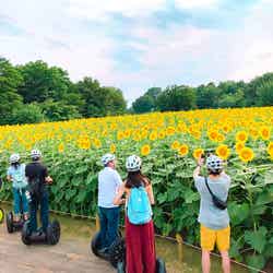季節の花々が目を楽しませてくれる(提供画像)
