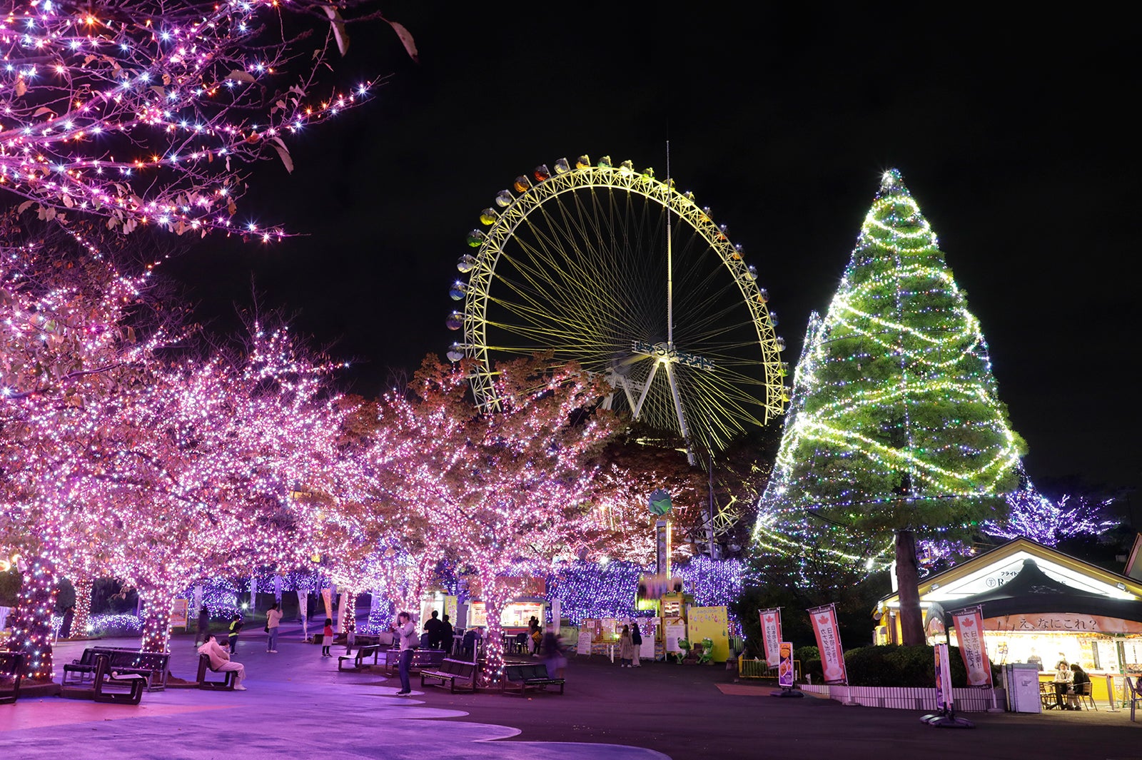よみうりランド ジュエルミネーション／画像提供：よみうりランド
