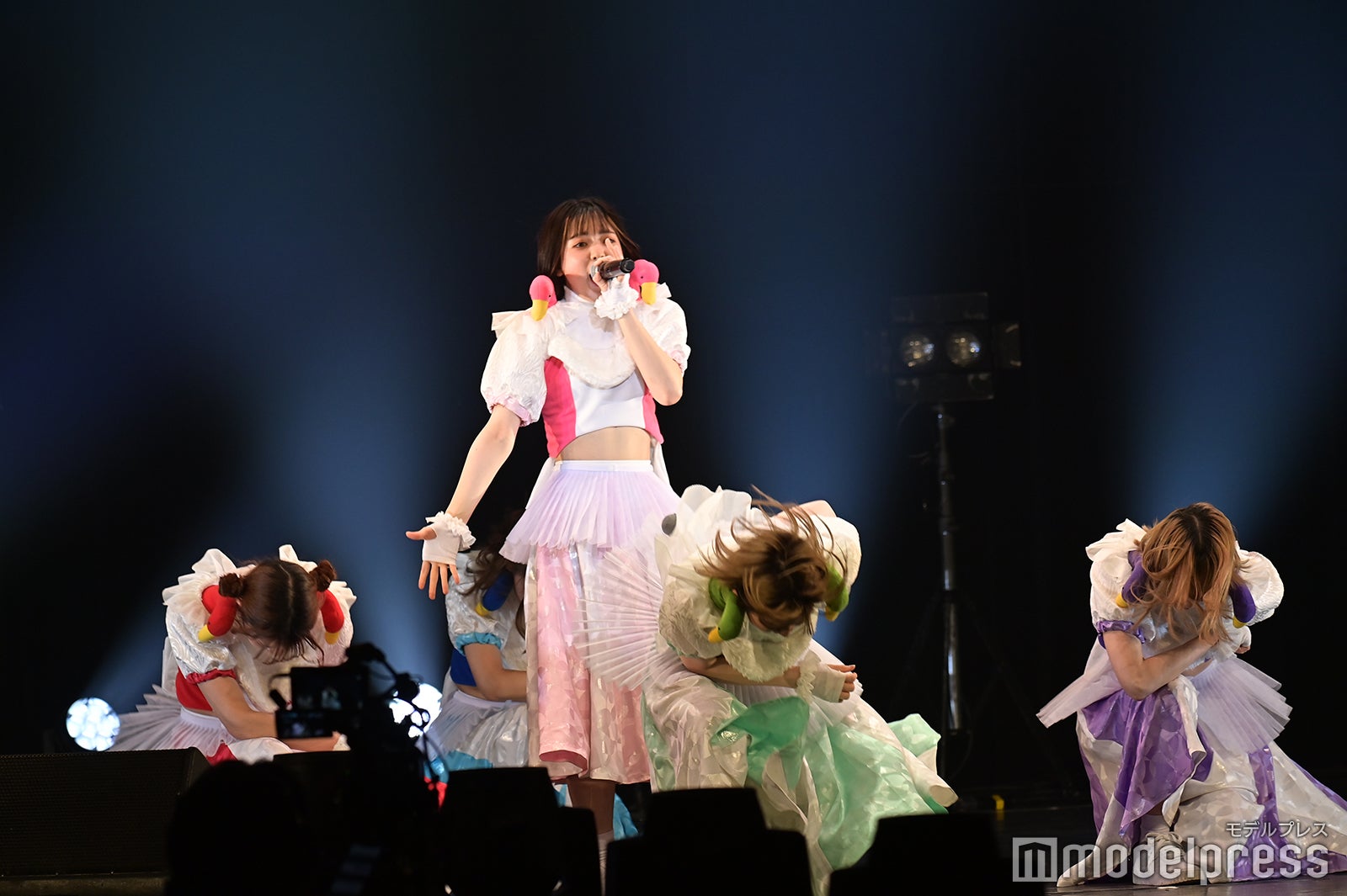 豆柴の大群（C）モデルプレス