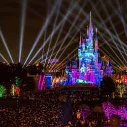 東京ディズニーランド「Celebrate! Tokyo Disneyland」※写真はイメージ（C）Disney