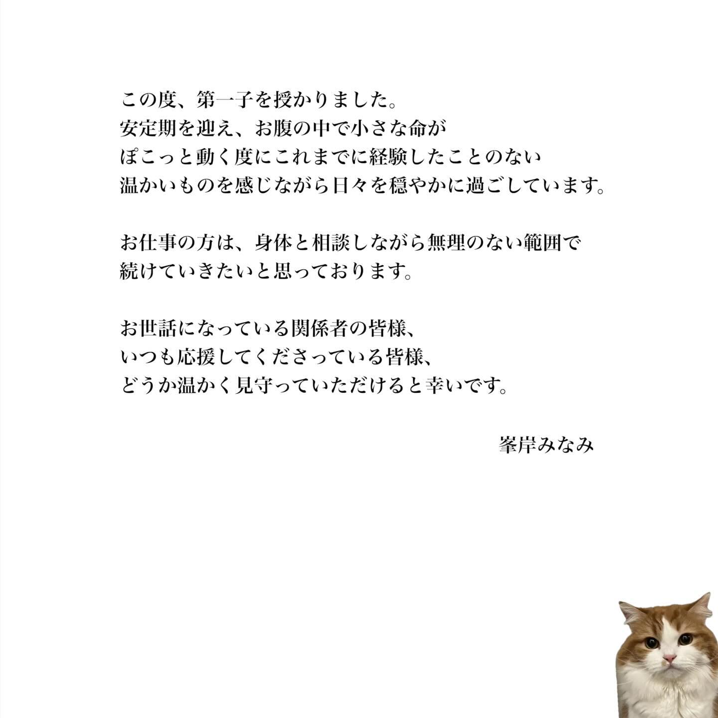 峯岸みなみ公式Instagramより