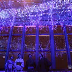 最高の癒し空間/画像提供:東京タワー