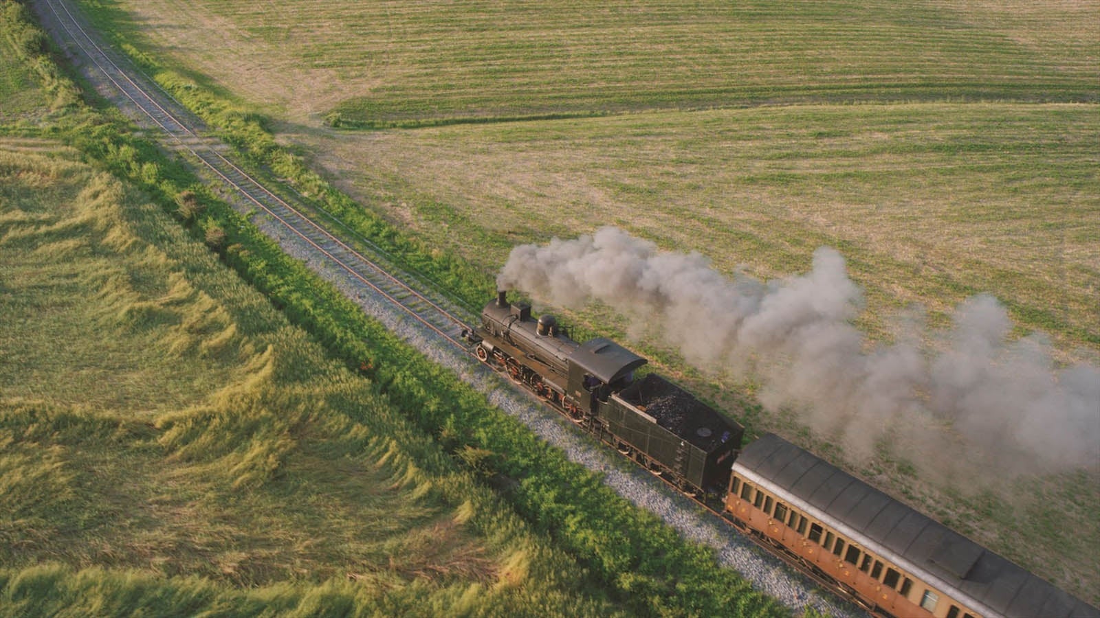 映画「鋼の錬金術師」より（C）2017 荒川弘／SQUARE ENIX （C）2017 映画「鋼の錬金術師」製作委員会