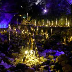 幽玄の竹あかり/提供画像