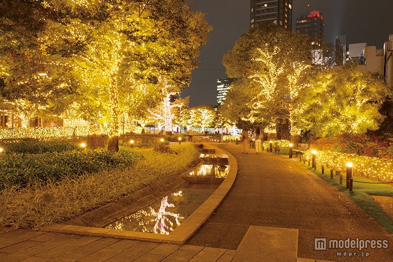 「ツリーイルミネーション」／画像提供：東京ミッドタウンマネジメント