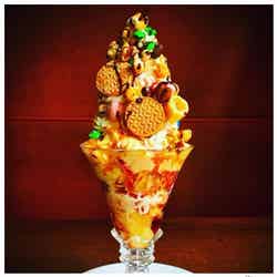 名物はデカ盛りパフェ!京都の老舗カフェ「ポポロヒロバ」はSNS映えスイーツの宝庫