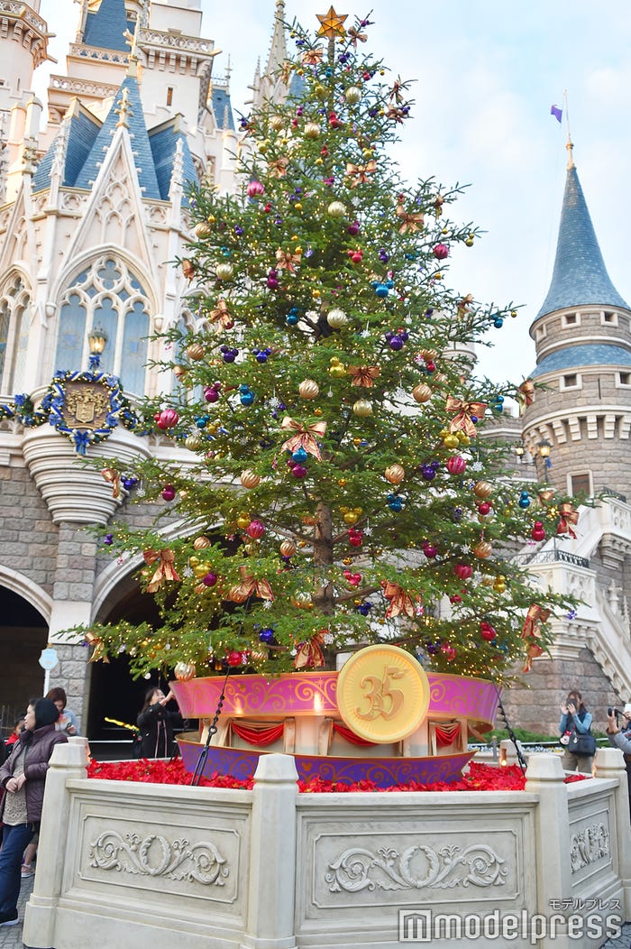 デコレーション/東京ディズニーランド(C)モデルプレス(C)Disney