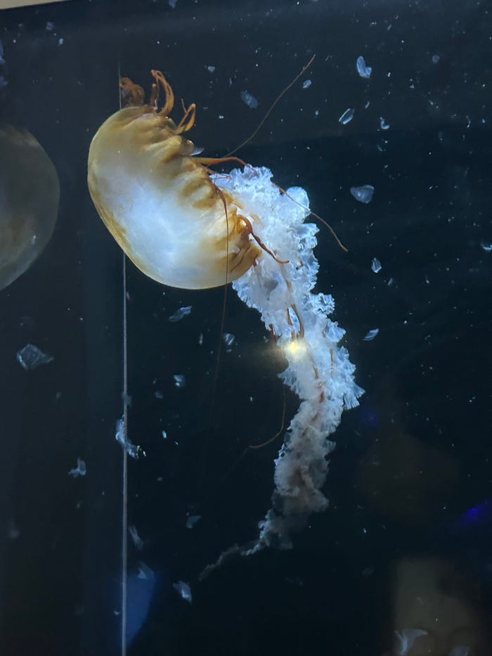 松本旭平「無趣味の松本旭平の趣味探し。」(提供写真)