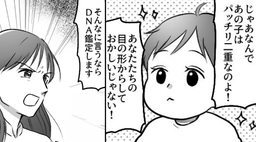 「なんで二重なの！他の男との子！？」嫁を疑う義母。しかし直後⇒嫁「DNA鑑定します」鑑定結果に…義母は青ざめる！？