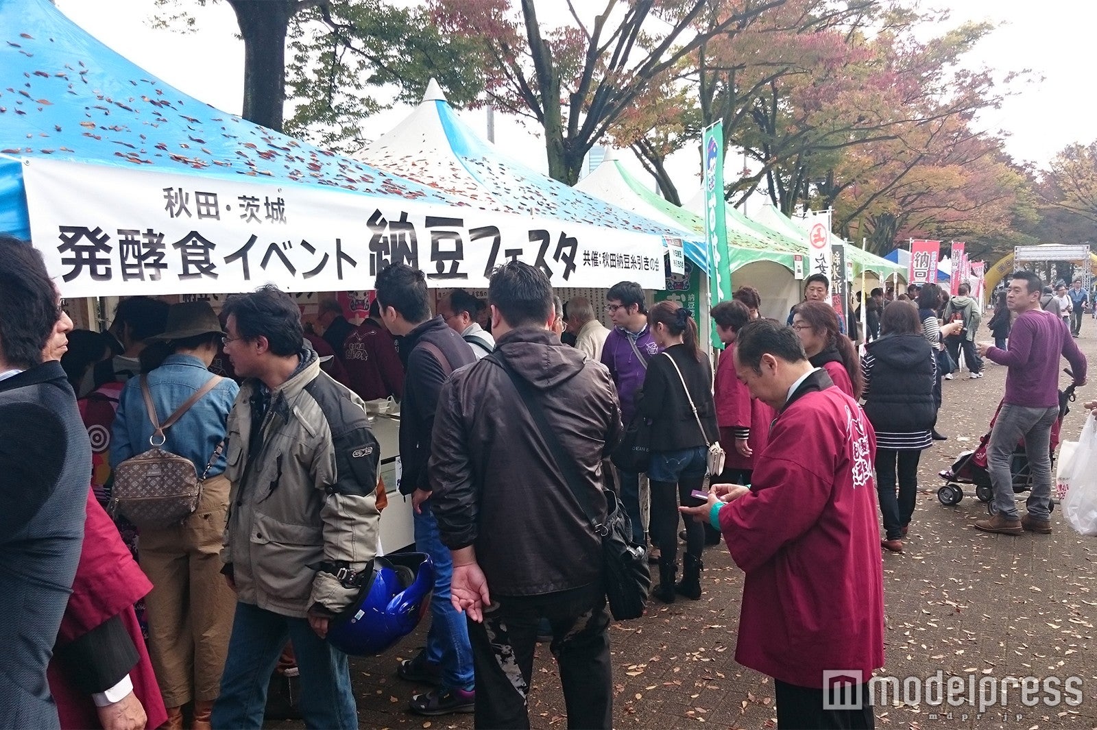昨年の出店ブース風景／画像提供：秋田県・茨城県