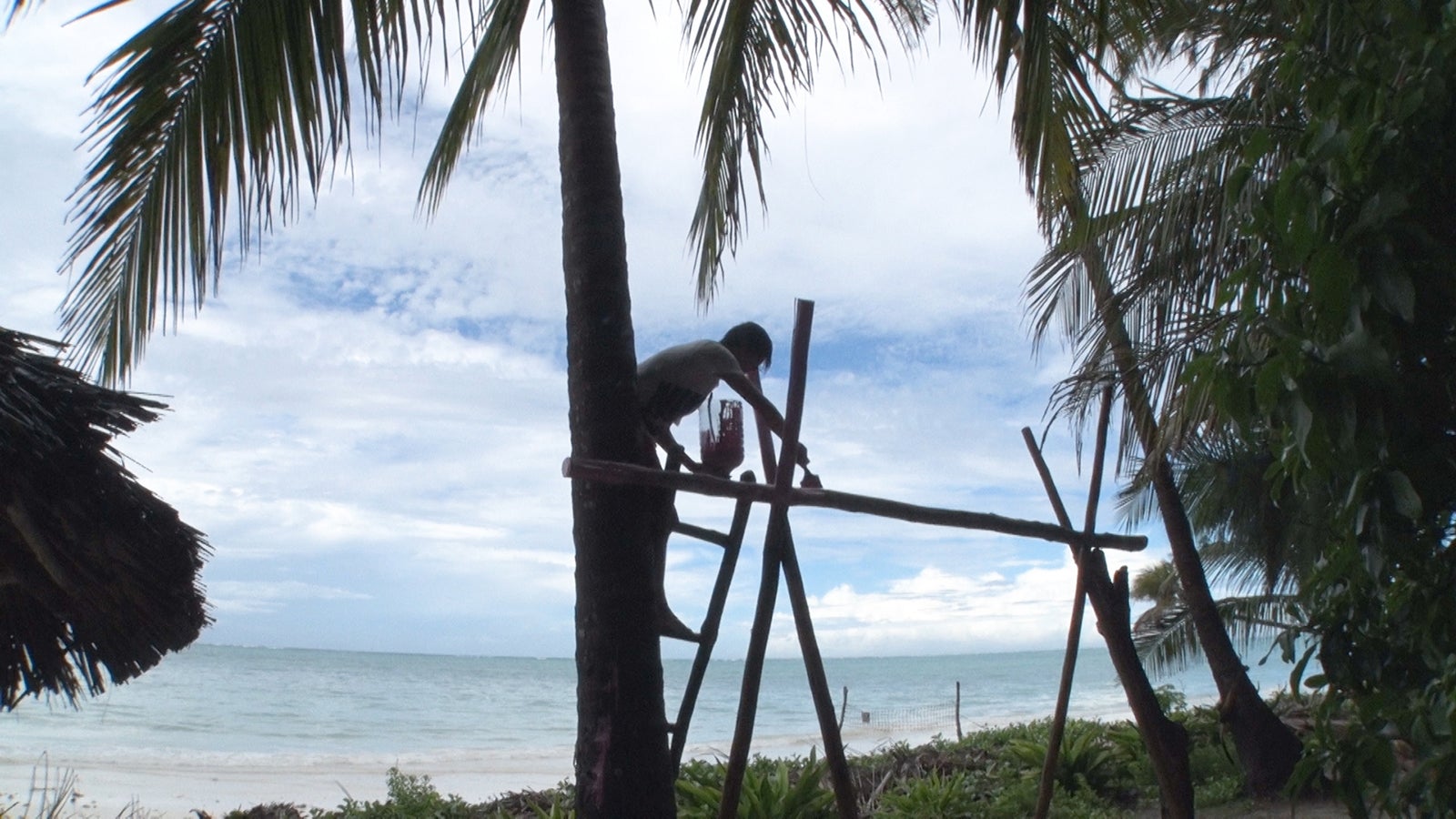 ブランコを作るJOYくん「あいのり：African Journey」第22話より（C）フジテレビ