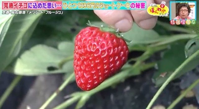 オープン前から大行列！超高価格でも1度は食べてみたい「ショートケーキ」