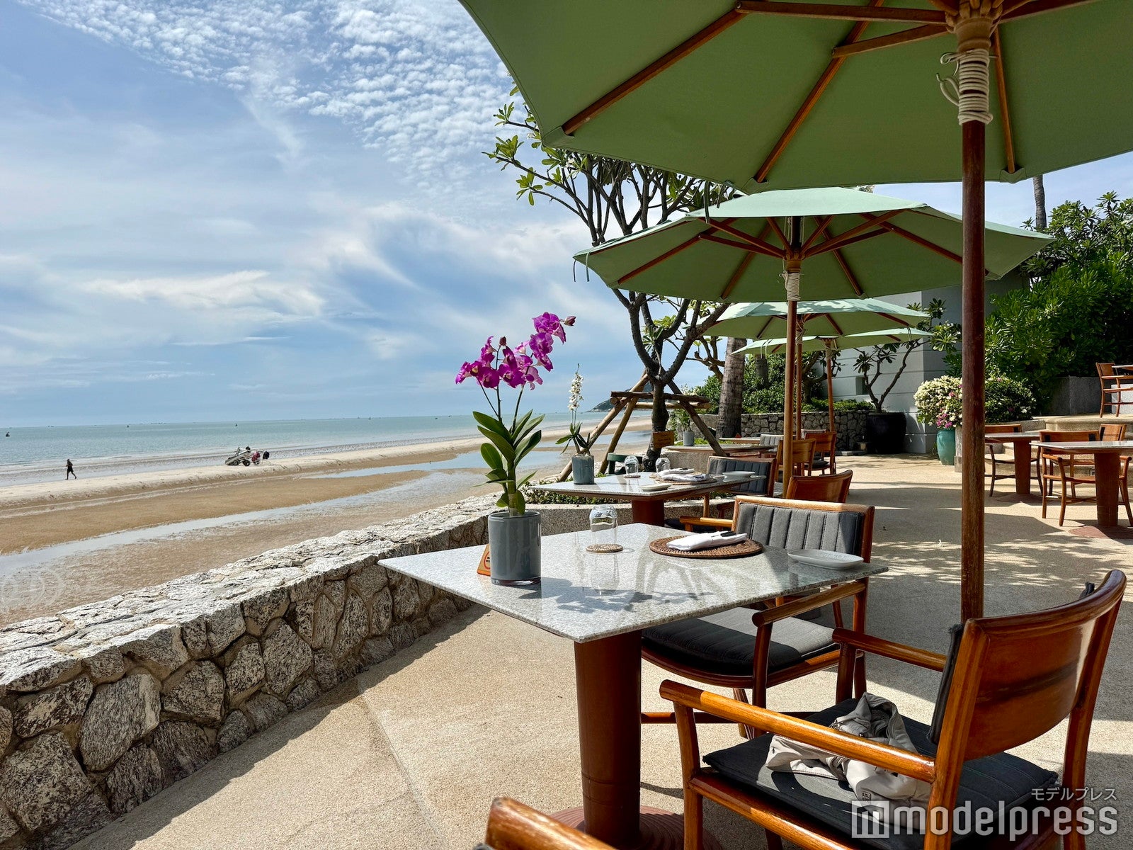 チバソム（C）モデルプレス