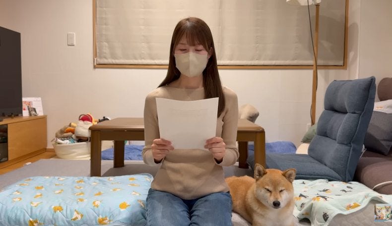 人気ペットchが夫婦離婚で突然終了!仲良し豆柴コンビも別々で暮らすことに