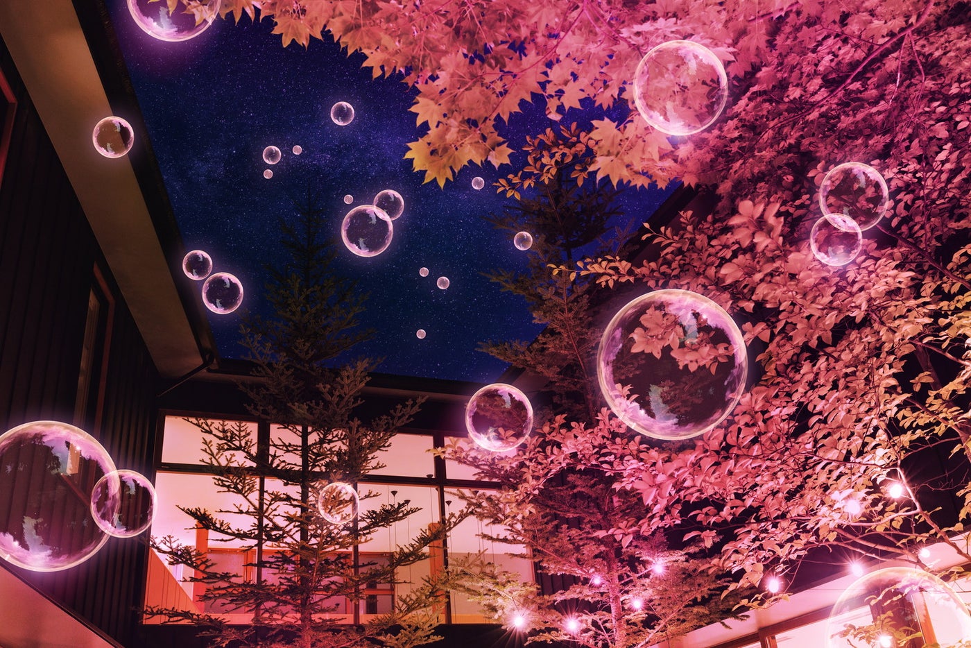 夜桜チルナイト／画像提供：星野リゾート