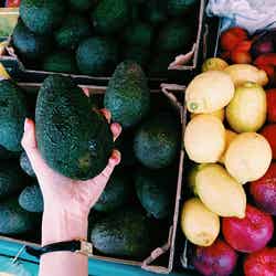 朝市マルシェ/画像提供:所属事務所