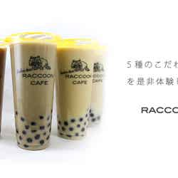 RACCOON CAFE／画像提供：Babydoor