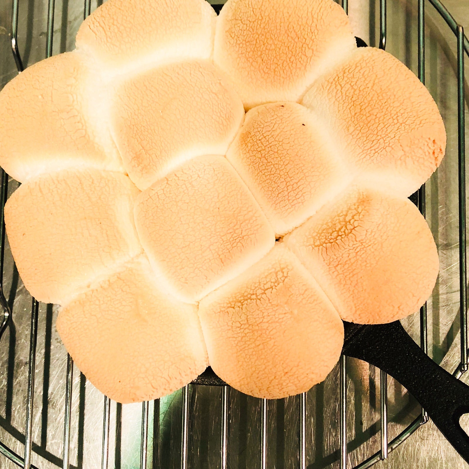 手順2：予熱しておいたオーブンで7分～焼き色がつくまで焼く／画像提供：柏原歩