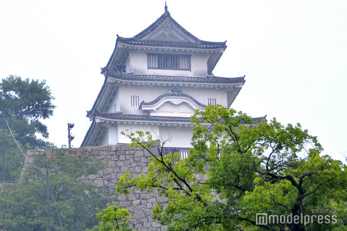 日本の100名城にも選ばれた「丸亀城」 (C)モデルプレス