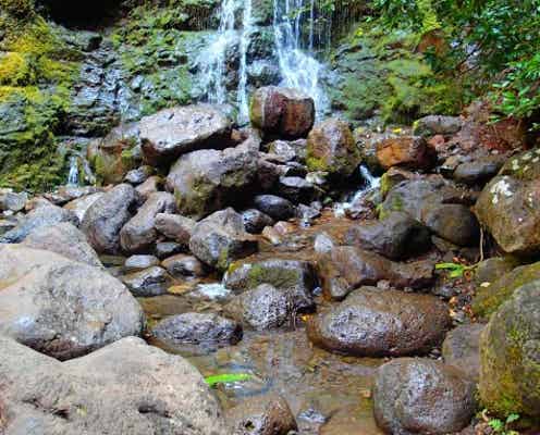 水と緑に癒される♡ワイキキから約20分の穴場トレイル「ルルマフの滝」