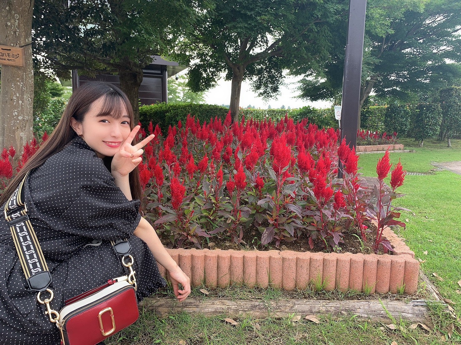 早川渚紗（提供写真）