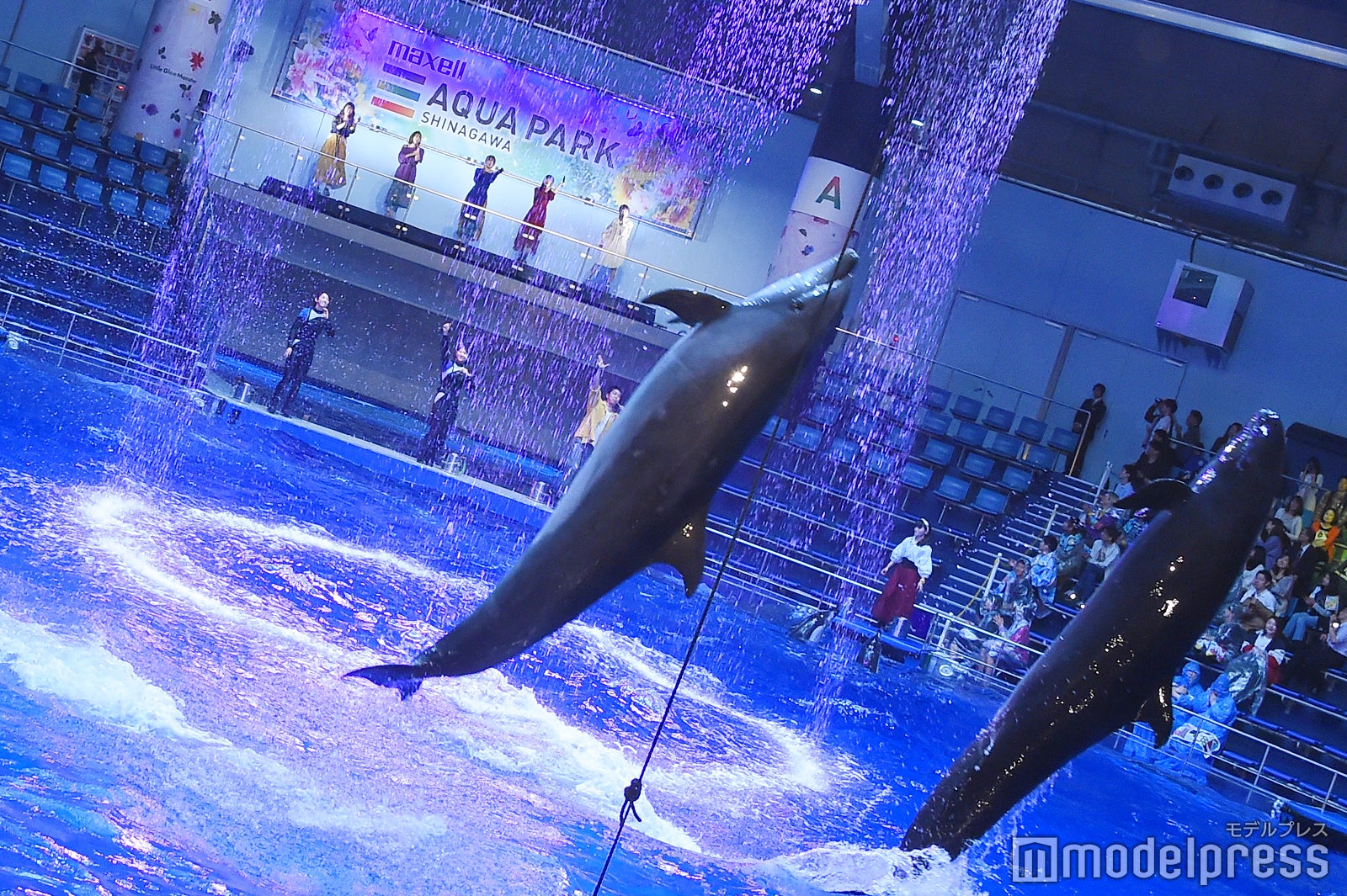 リトグリとイルカ（左から）かれん、MAYU、芹奈、manaka、アサヒ（C）モデルプレス