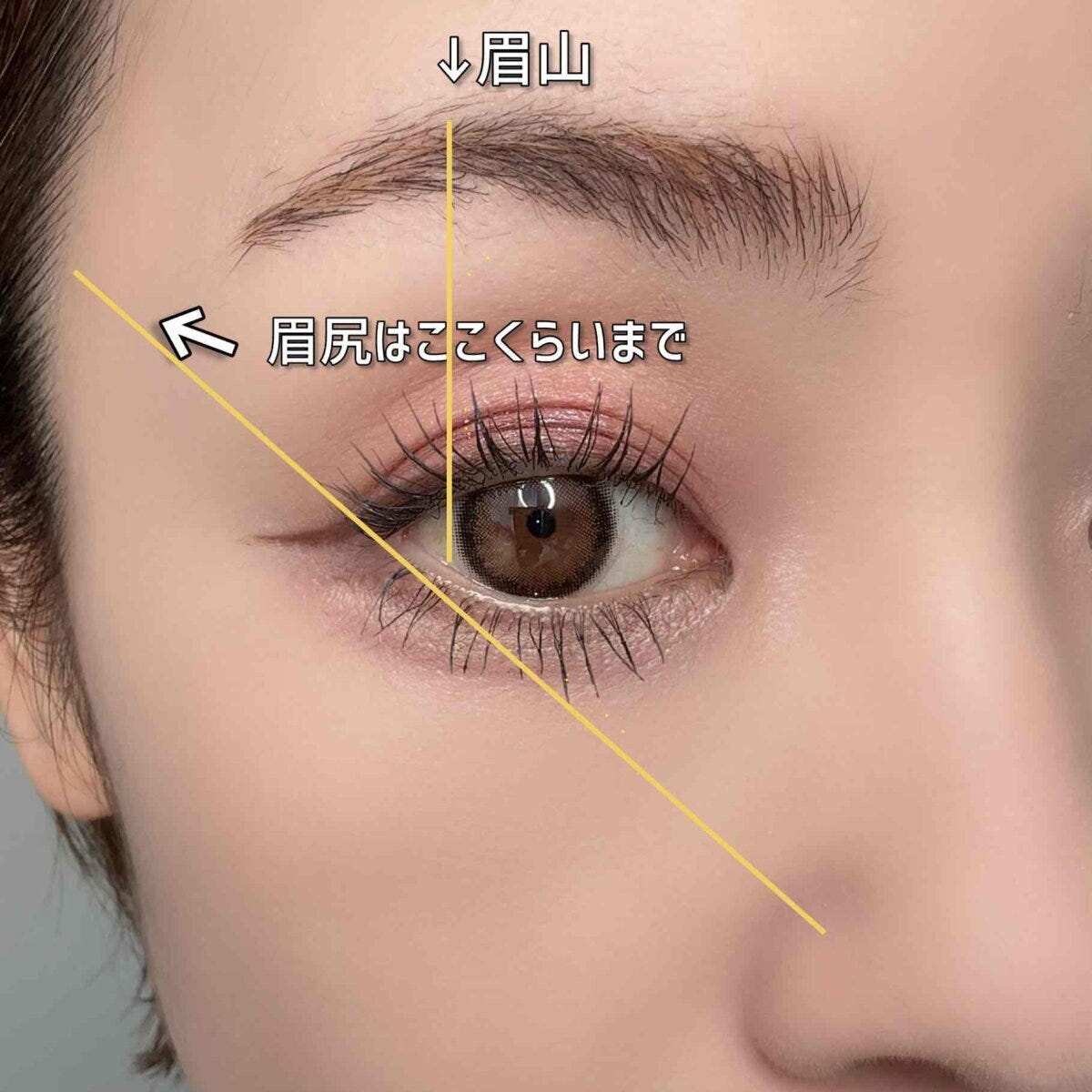 メイクアップアーティスト 眉山は黒目の外側、眉尻は小鼻と目尻を結ぶ延長線上までの位置