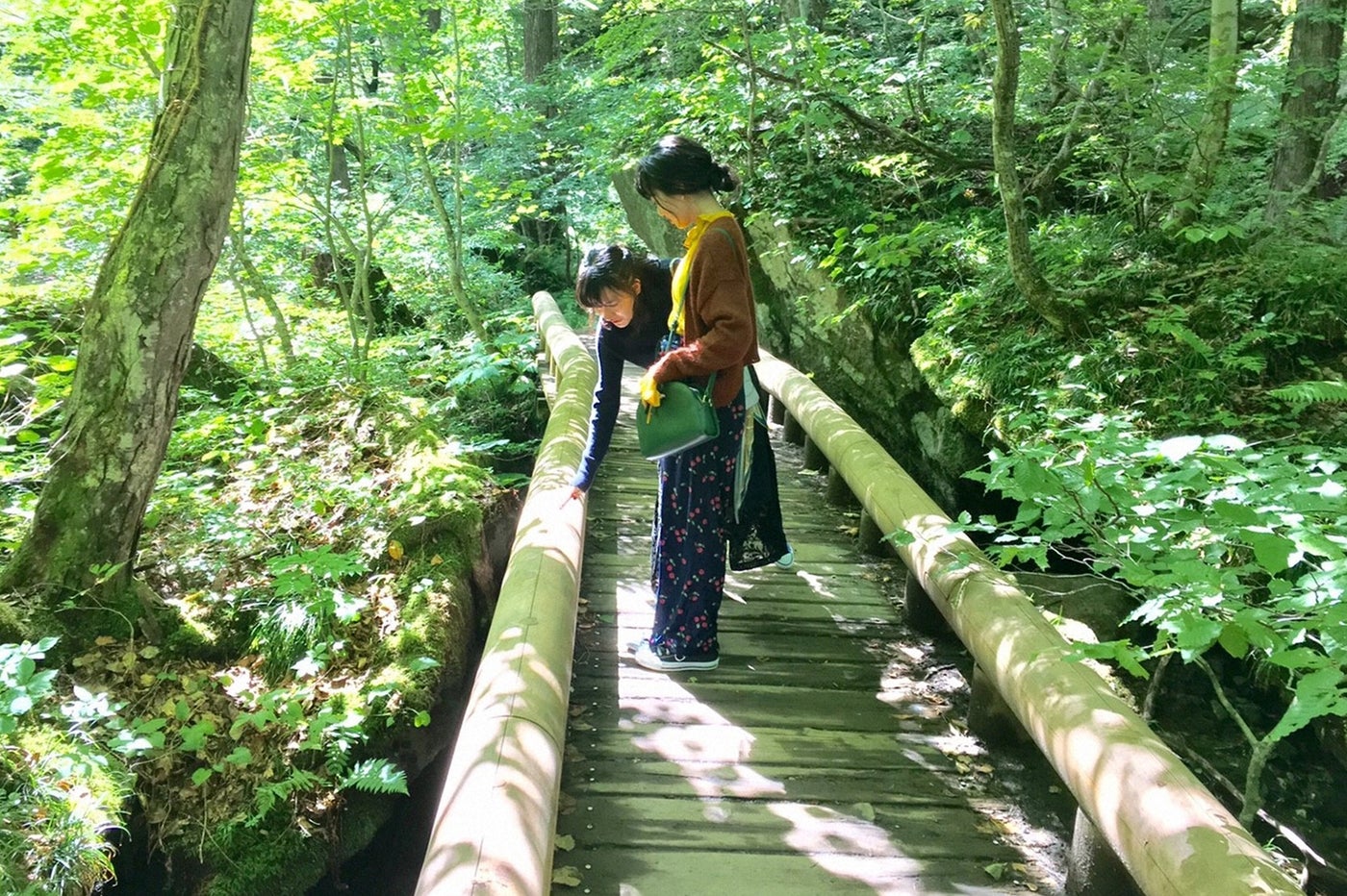 （手前から）宮崎香蓮、小島藤子（C）TBS