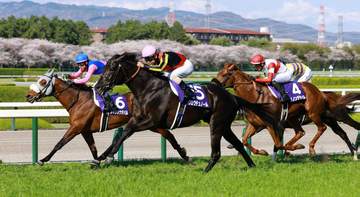 メイショウタバル 凱旋門賞登録へ 石橋師「オーナーとユタカと相談しながら」