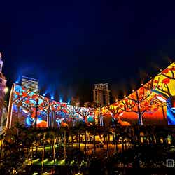 「香港パルス3Dライトショー」イメージ  ／画像提供：香港政府観光局