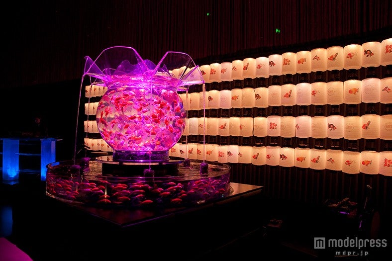 約1，000匹の金魚が泳ぐ「花魁」