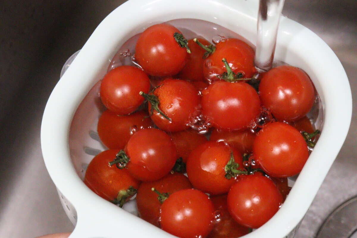 ダイソーの取っ手付　ミニザル・ボウル　使用例4